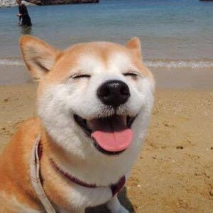 Meet your Posher, Nhu